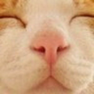 Meet your Posher, Doreen